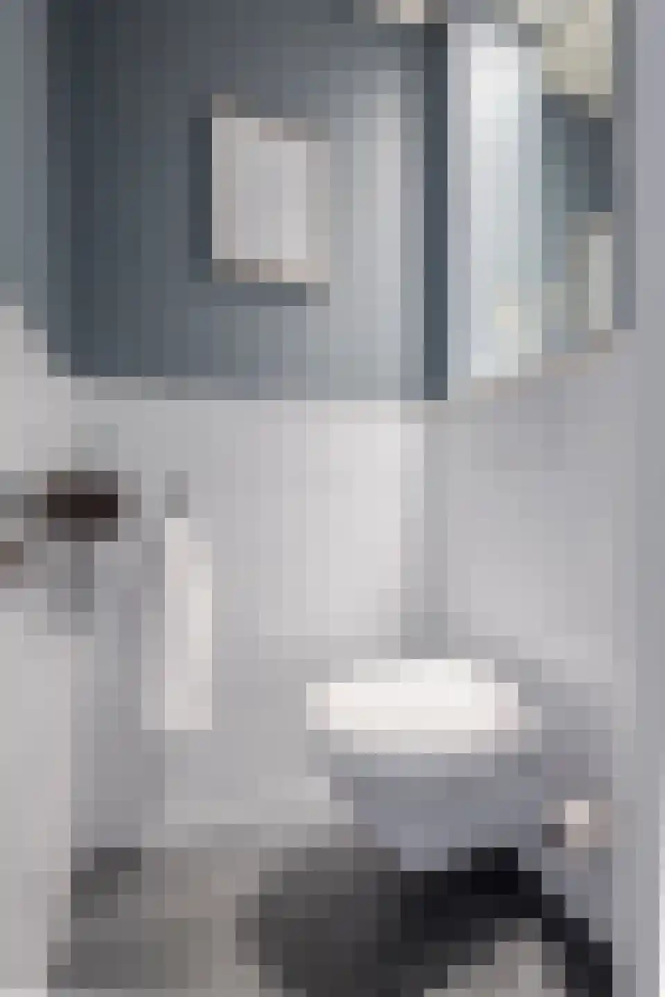 Ceintuurbaan 40 II Bussum thumbnail 12