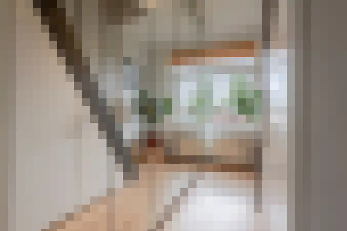 Ceintuurbaan 40 II Bussum thumbnail 18