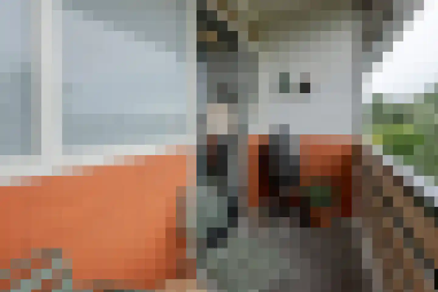 Ceintuurbaan 40 II Bussum thumbnail 27
