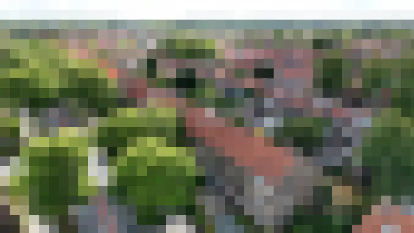 Ceintuurbaan 40 II Bussum thumbnail 30