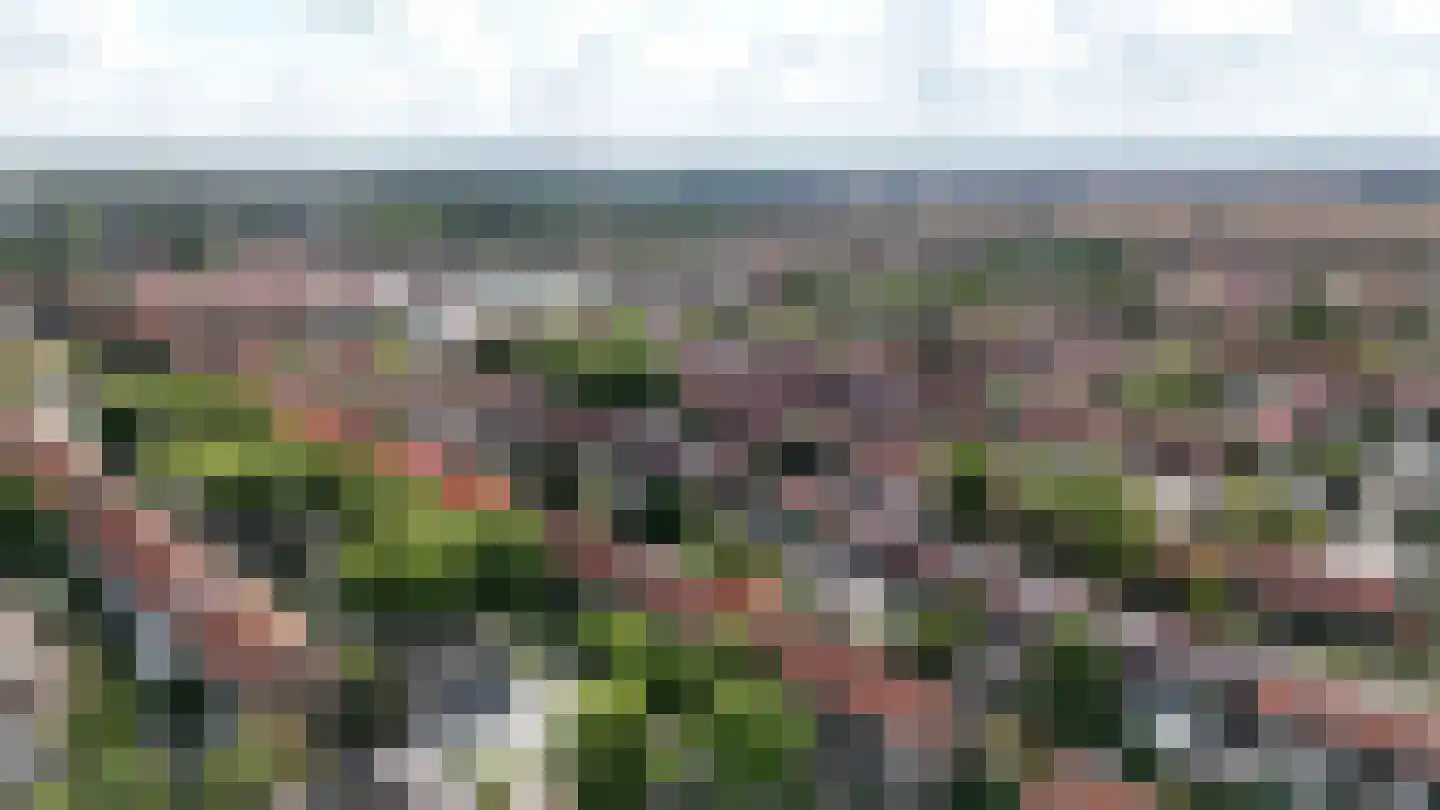 Ceintuurbaan 40 II Bussum thumbnail 4