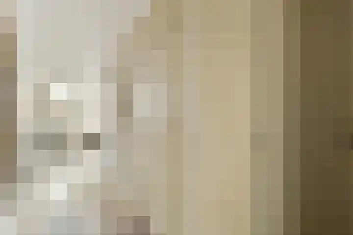 Ceintuurbaan 406 2 Amsterdam thumbnail 33