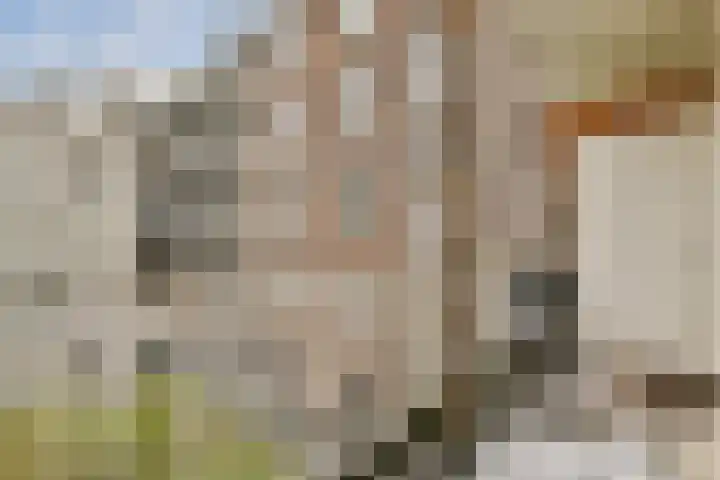 Ceintuurbaan 406 2 Amsterdam thumbnail 37
