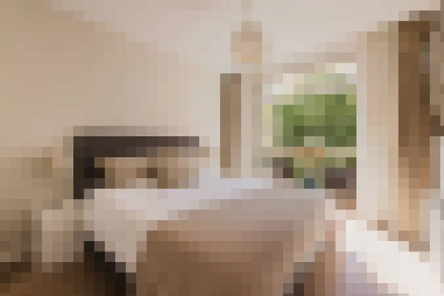 Ceintuurbaan 408 2 Amsterdam thumbnail 14