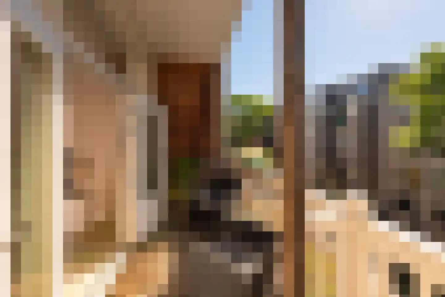 Ceintuurbaan 408 2 Amsterdam thumbnail 15