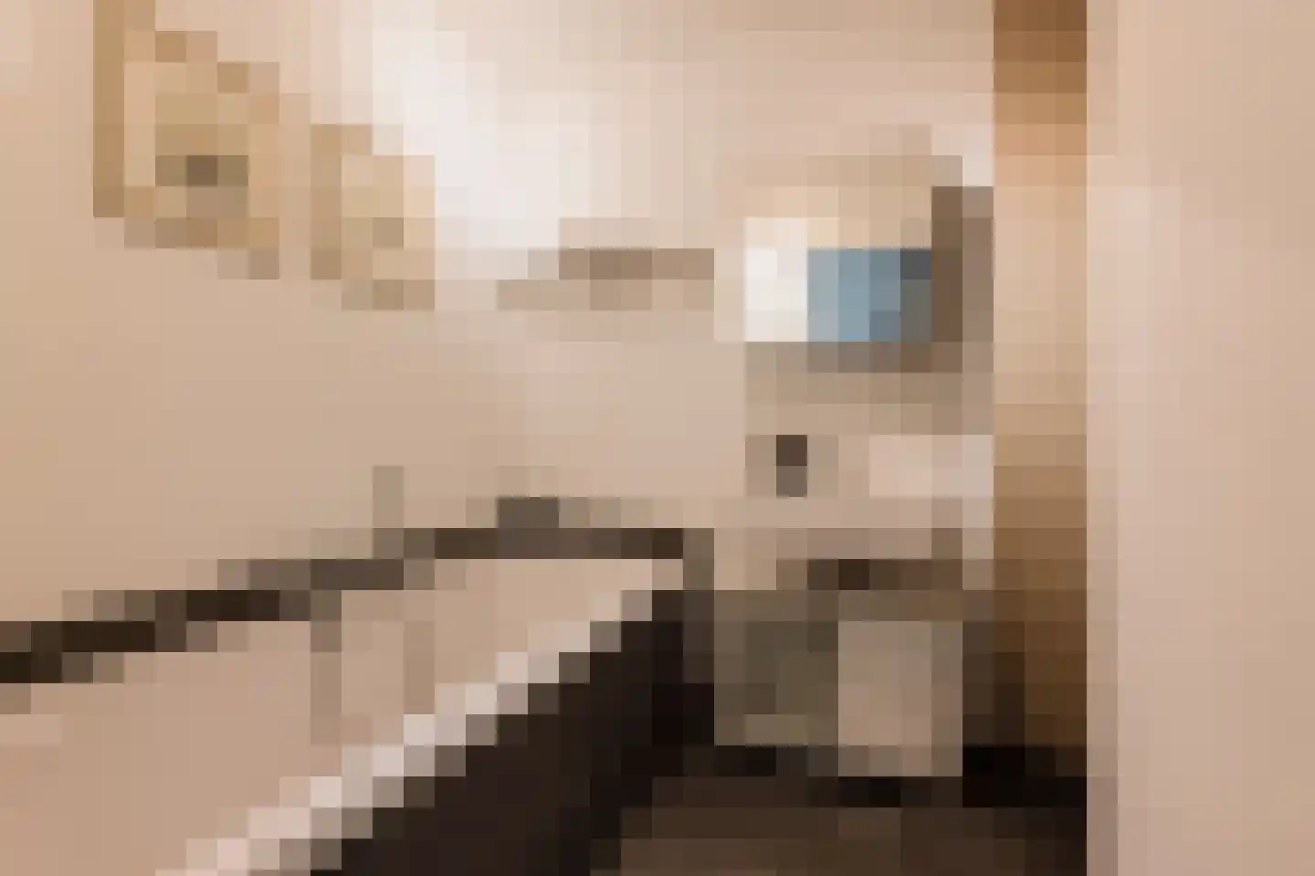 Ceintuurbaan 408 2 Amsterdam thumbnail 21