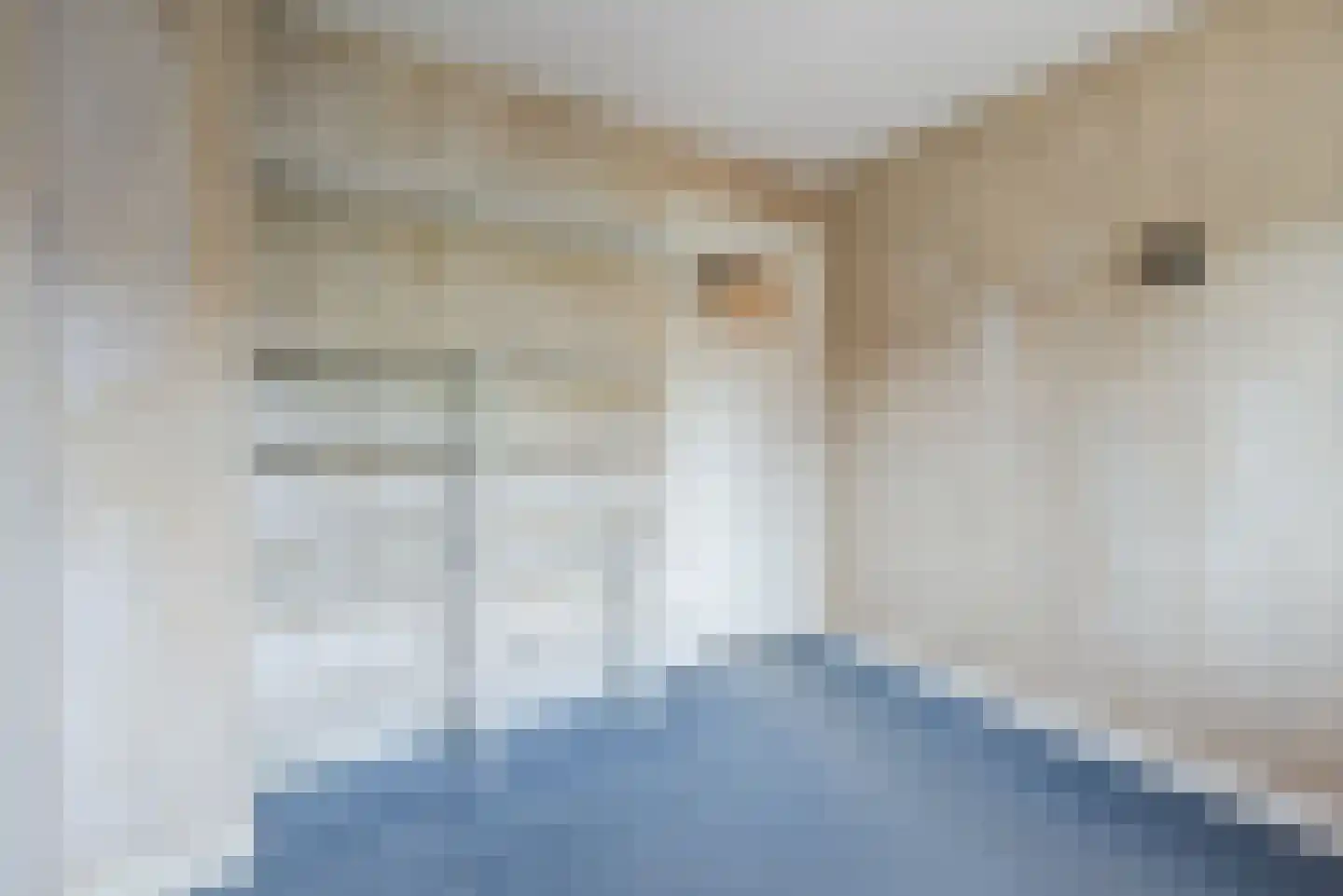 Ceintuurbaan 41 Meppel thumbnail 19