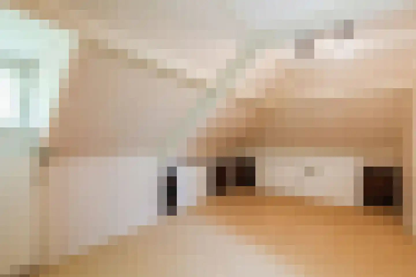 Ceintuurbaan 41 Meppel thumbnail 26