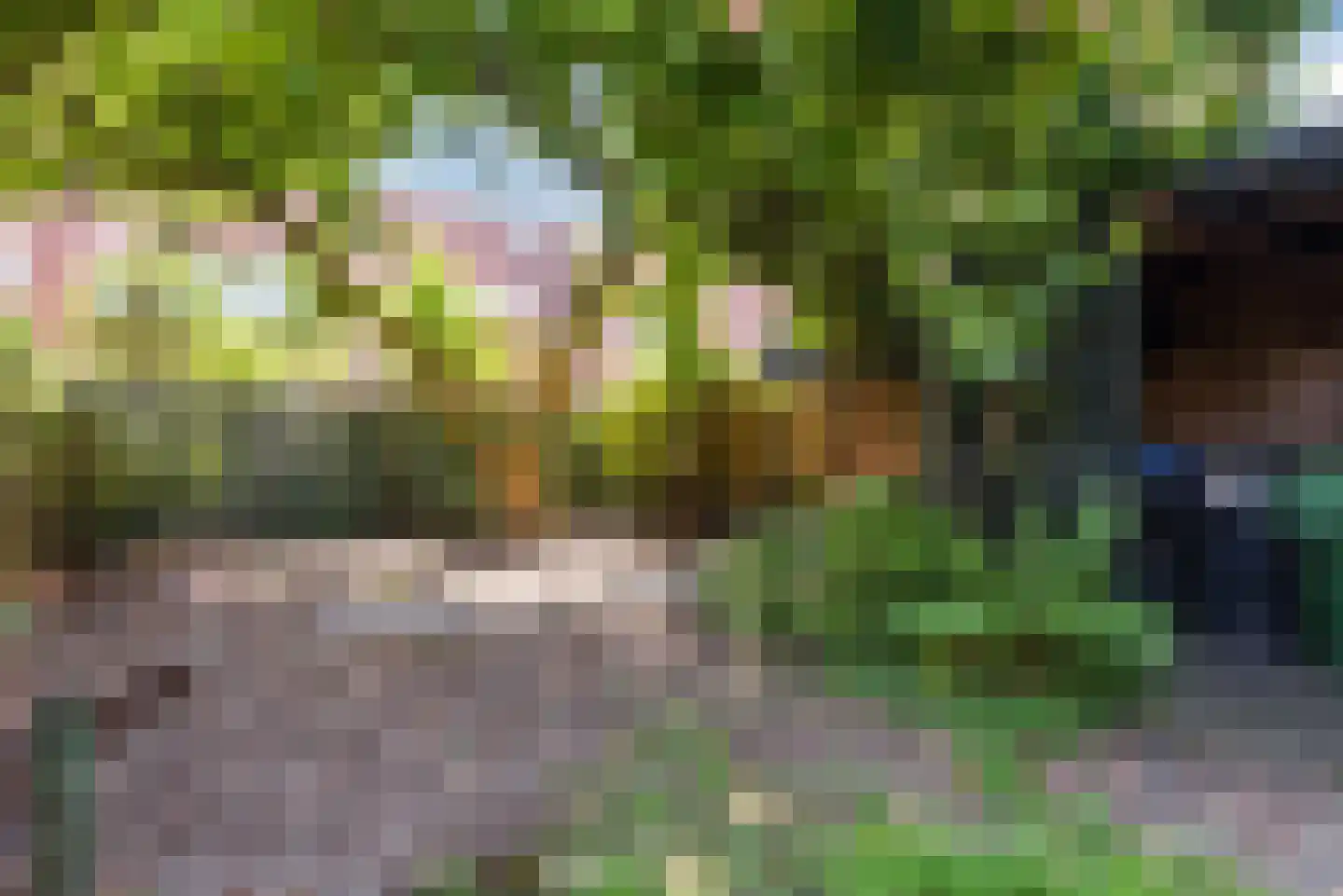 Ceintuurbaan 41 Meppel thumbnail 38