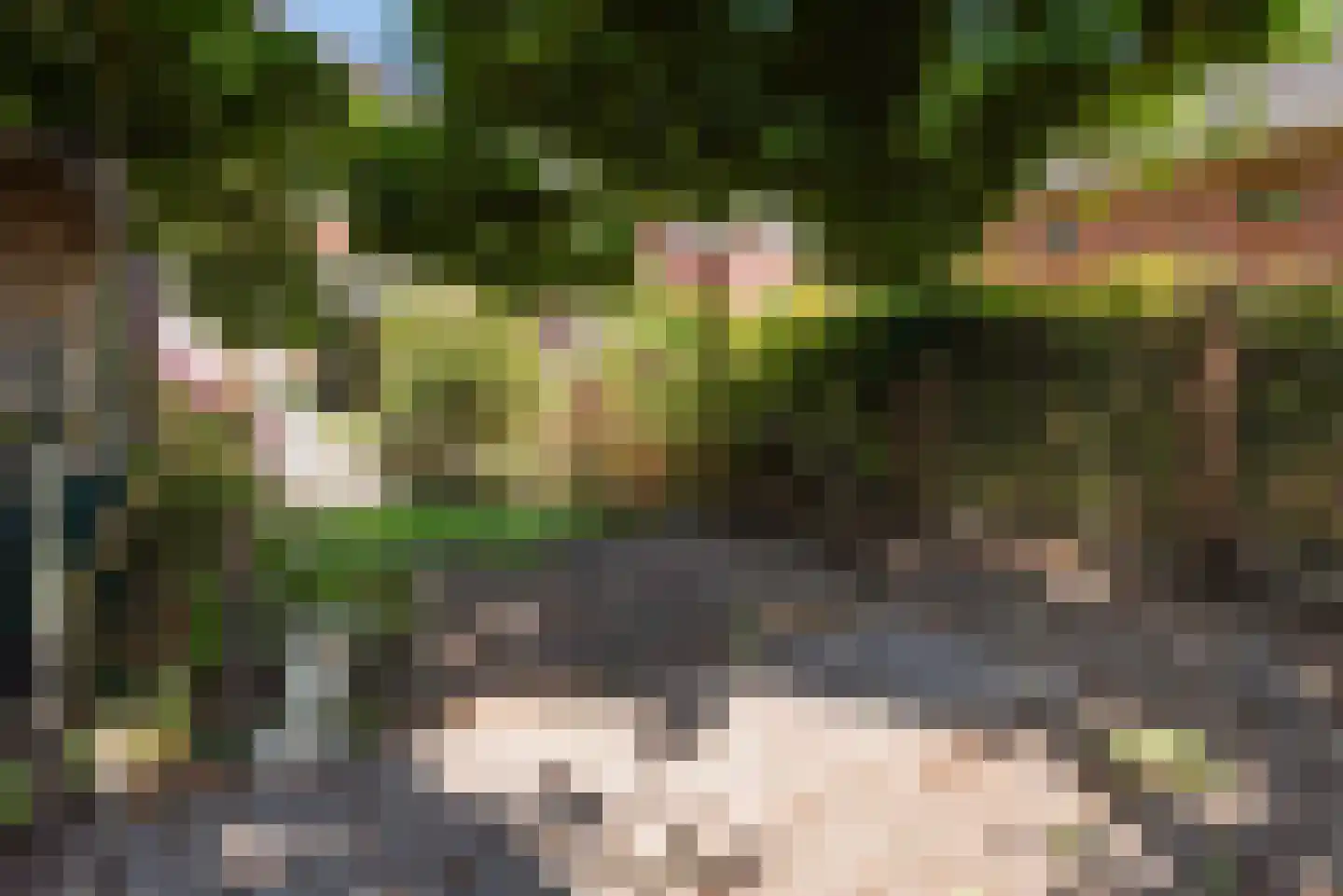 Ceintuurbaan 41 Meppel thumbnail 40