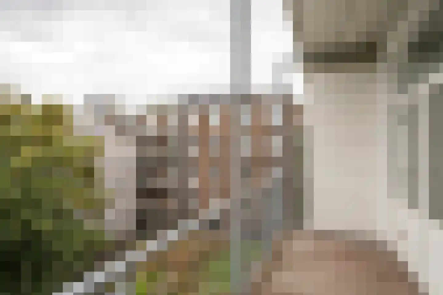 Ceintuurbaan 412 3 Amsterdam thumbnail 20