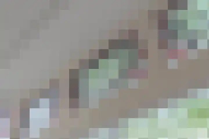 Ceintuurbaan 414 3V Amsterdam thumbnail 10