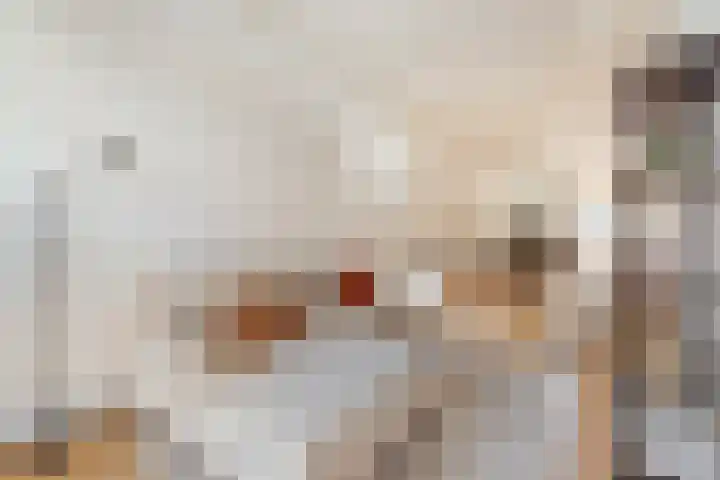 Ceintuurbaan 414 3V Amsterdam thumbnail 11