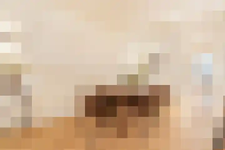Ceintuurbaan 414 3V Amsterdam thumbnail 12