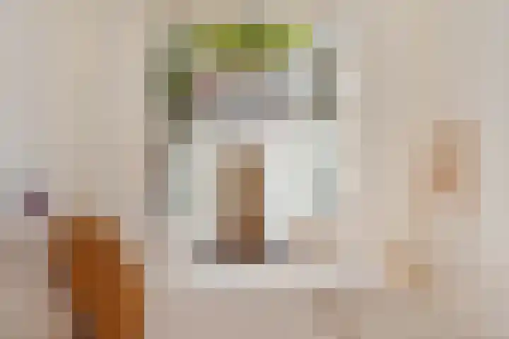 Ceintuurbaan 414 3V Amsterdam thumbnail 24