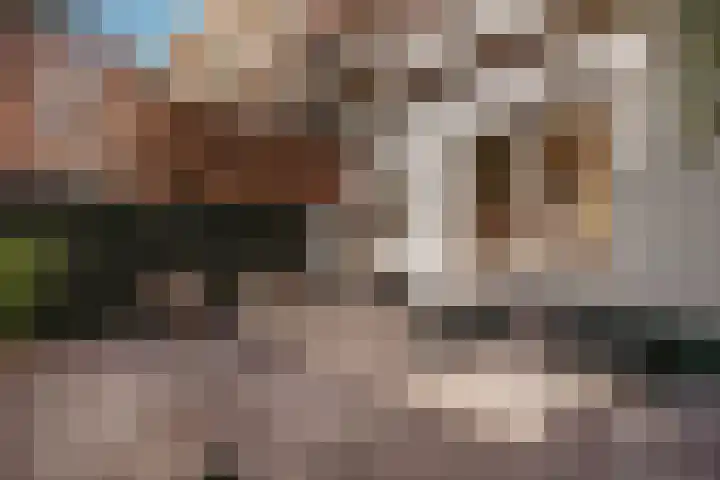 Ceintuurbaan 414 3V Amsterdam thumbnail 36