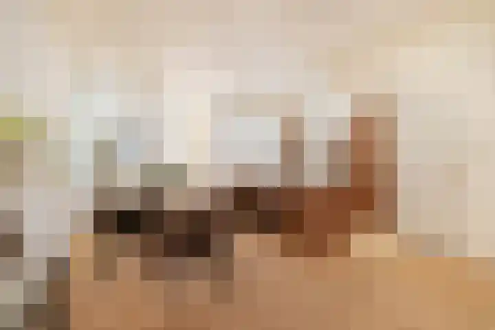 Ceintuurbaan 414 3V Amsterdam thumbnail 50