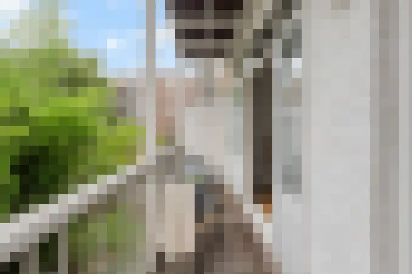 Ceintuurbaan 416 1 Amsterdam thumbnail 17