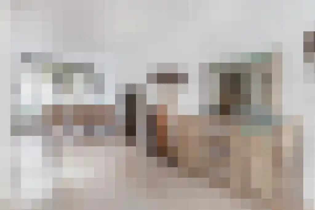 Ceintuurbaan 424 1 Amsterdam thumbnail 6