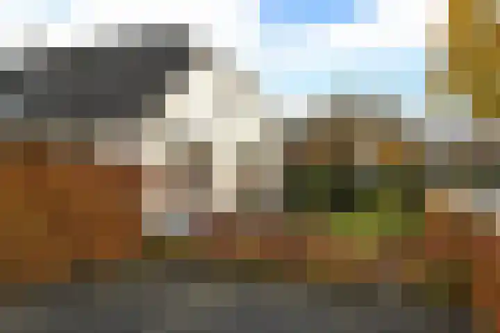 Ceintuurbaan 43 Huizen thumbnail 18