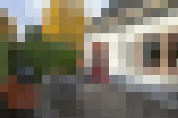 Ceintuurbaan 43 Huizen thumbnail 19
