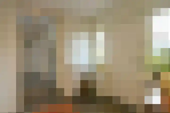 Ceintuurbaan 43 Huizen thumbnail 4