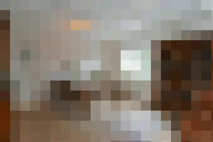 Ceintuurbaan 43 Huizen thumbnail 6