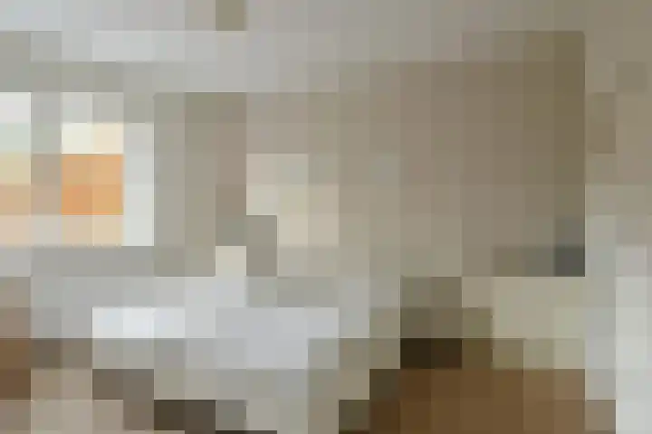 Ceintuurbaan 43 Huizen thumbnail 9