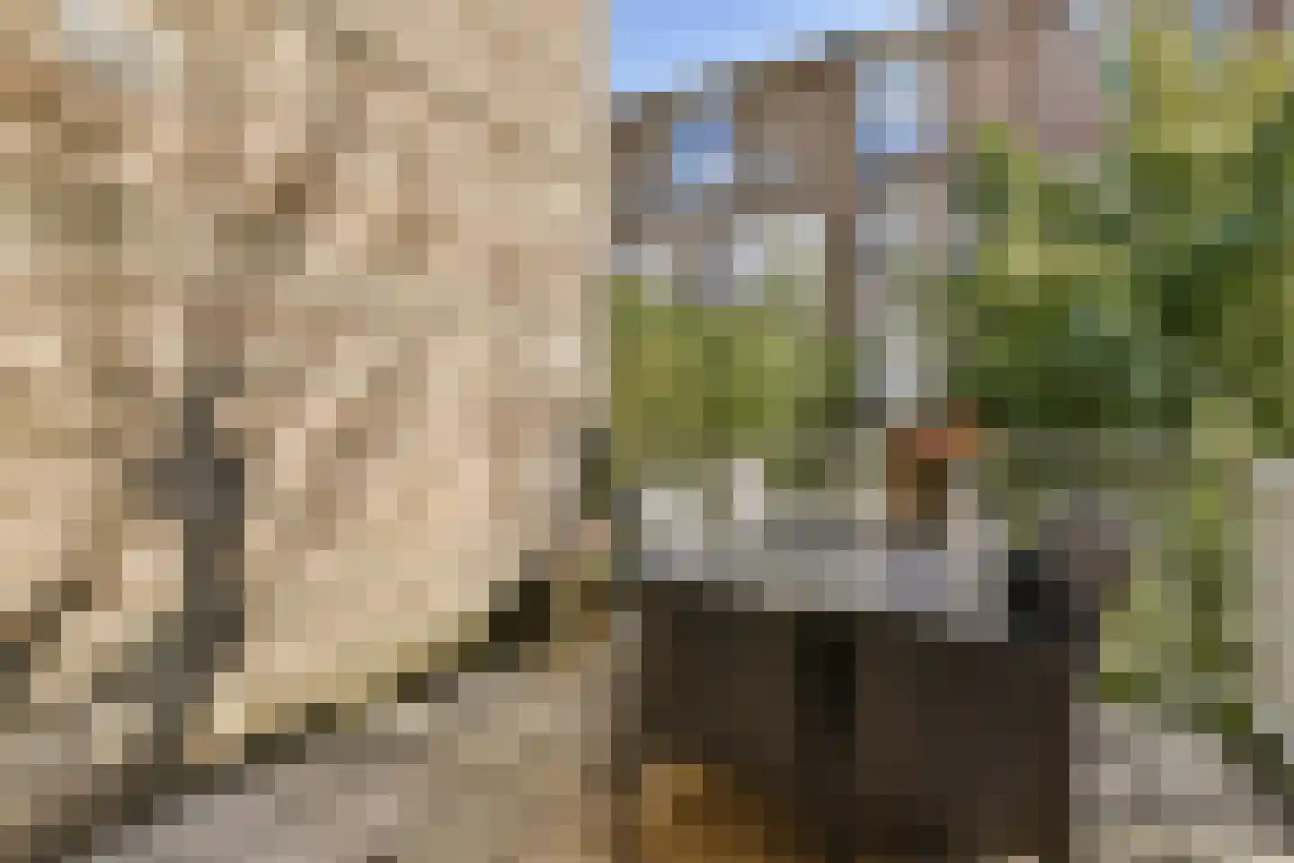 Ceintuurbaan 430 2 Amsterdam thumbnail 13