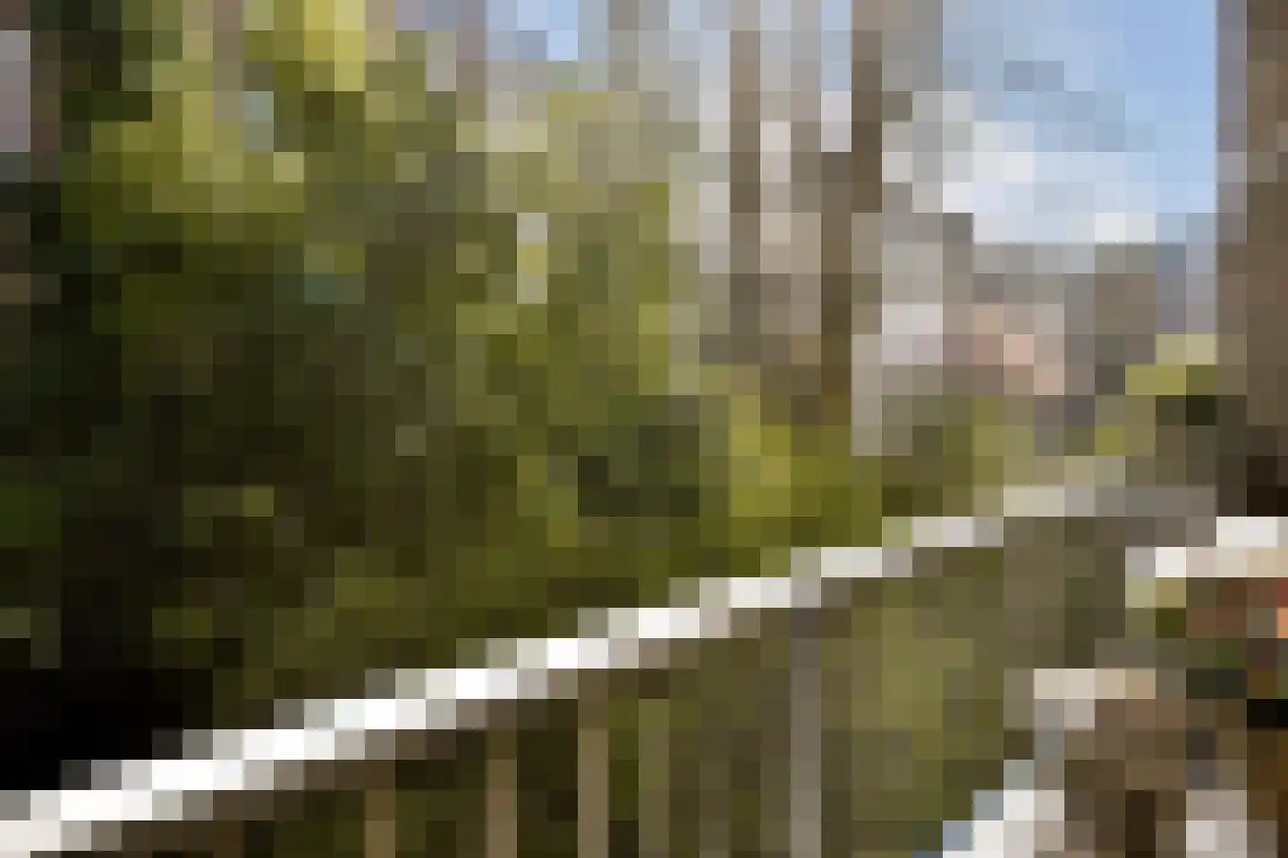 Ceintuurbaan 430 2 Amsterdam thumbnail 15