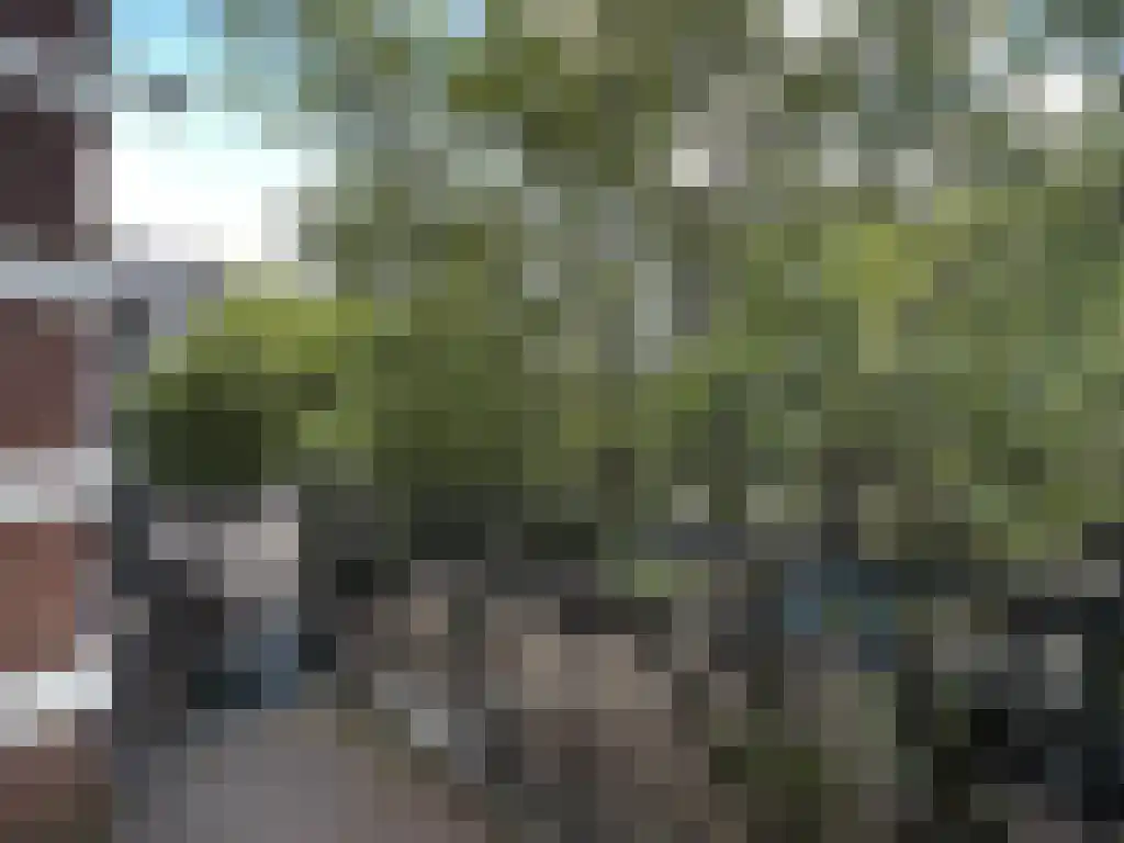Ceintuurbaan 438 Amsterdam thumbnail 4
