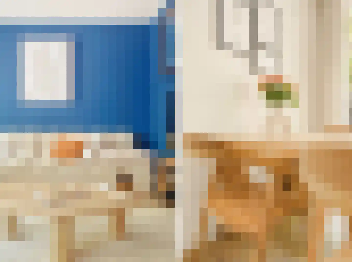 Ceintuurbaan 442 1 Amsterdam thumbnail 11