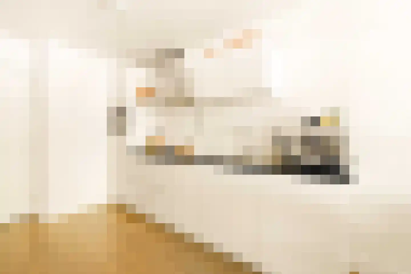 Ceintuurbaan 442 1 Amsterdam thumbnail 9