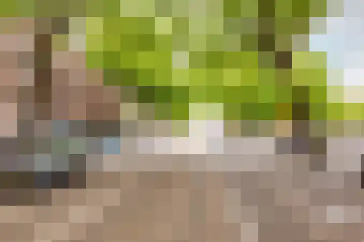 Ceintuurbaan 442 H Amsterdam thumbnail 30
