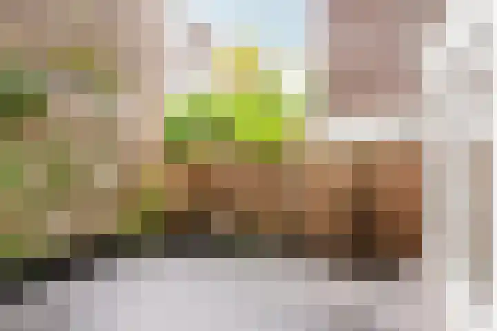 Ceintuurbaan 442 H Amsterdam thumbnail 33