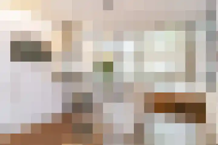 Ceintuurbaan 442 H Amsterdam thumbnail 9