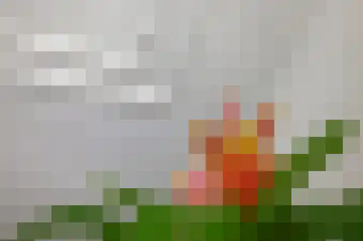 Ceintuurbaan 45 1 Amsterdam thumbnail 13