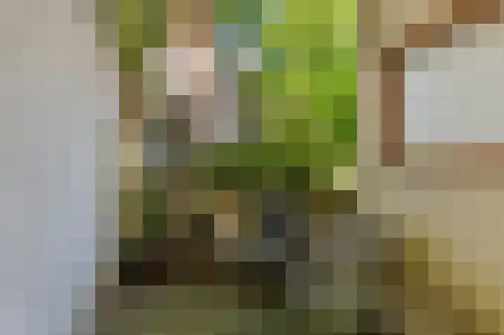 Ceintuurbaan 45 1 Amsterdam thumbnail 17
