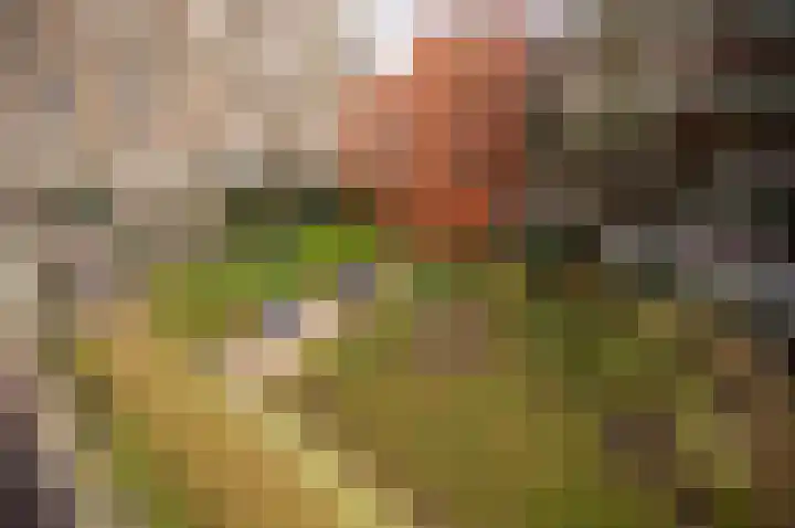 Ceintuurbaan 456 Amsterdam thumbnail 22