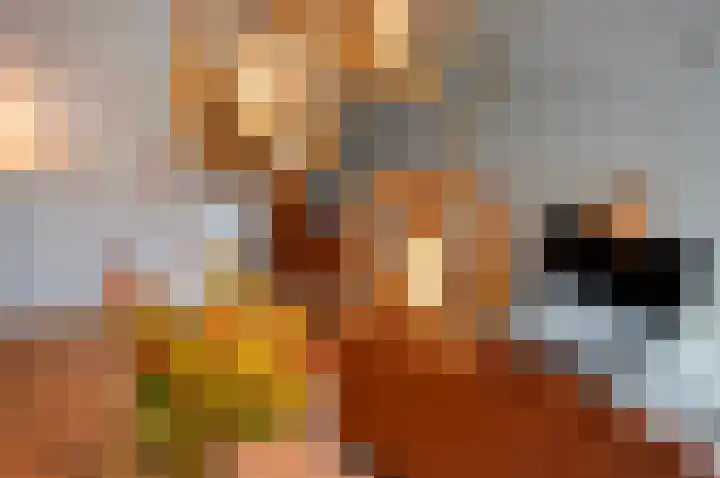 Ceintuurbaan 456 Amsterdam thumbnail 7