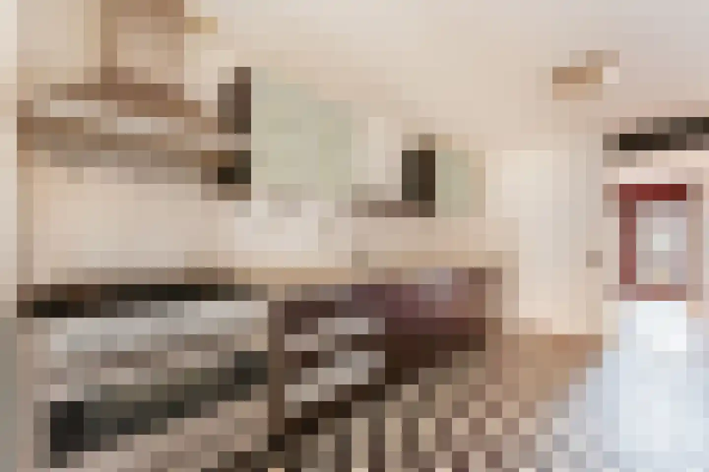 Ceintuurbaan 460 Amsterdam thumbnail 7