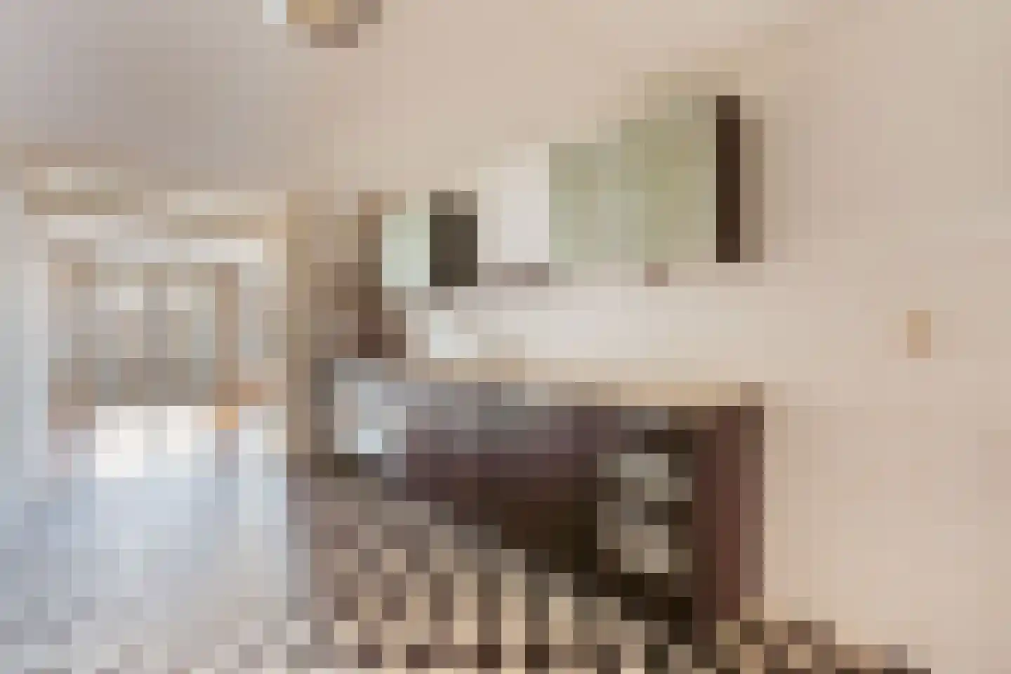 Ceintuurbaan 460 Amsterdam thumbnail 8