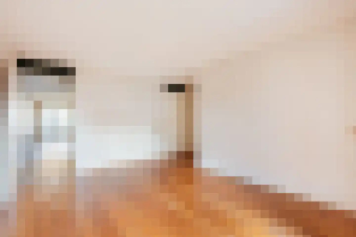 Ceintuurbaan 460 Amsterdam thumbnail 9