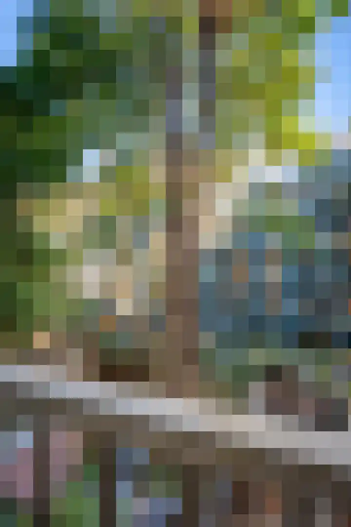 Ceintuurbaan 47 3 Amsterdam thumbnail 19