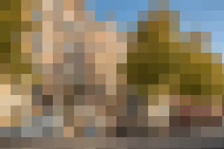 Ceintuurbaan 47 3 Amsterdam thumbnail 24