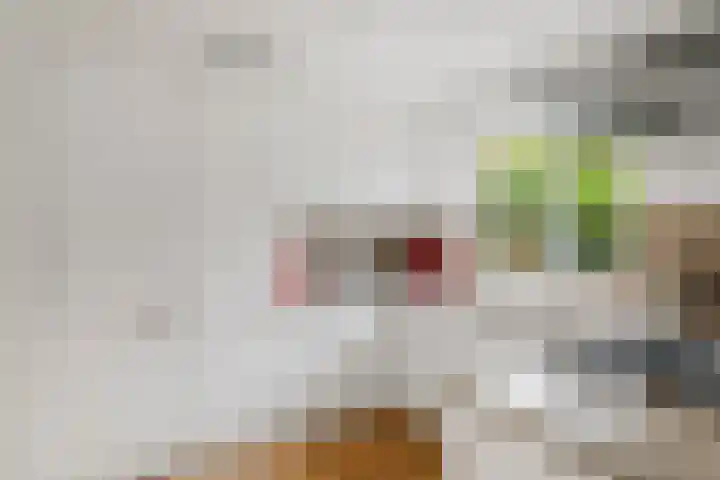 Ceintuurbaan 47 Deventer thumbnail 18