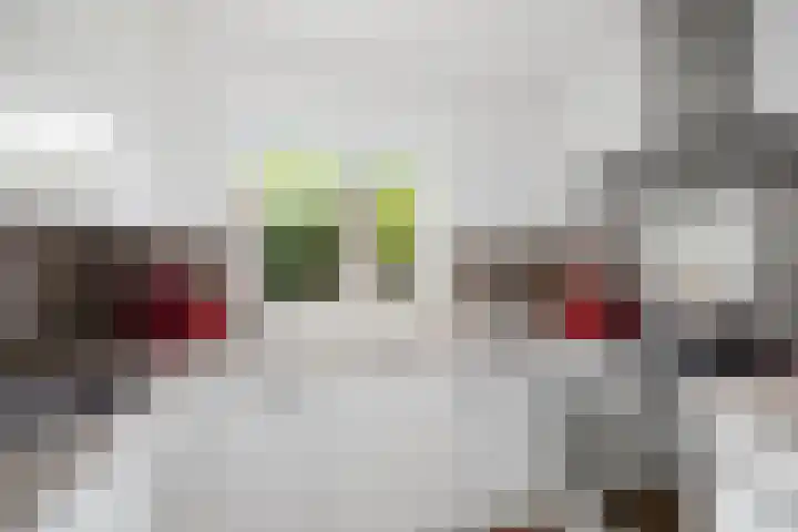 Ceintuurbaan 47 Deventer thumbnail 19