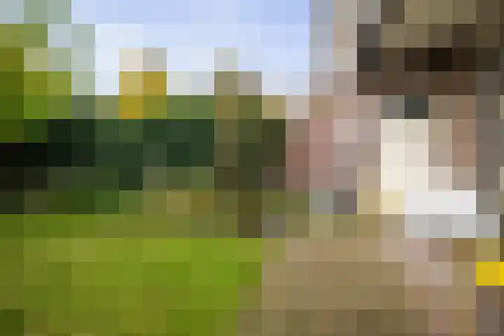 Ceintuurbaan 47 Deventer thumbnail 24