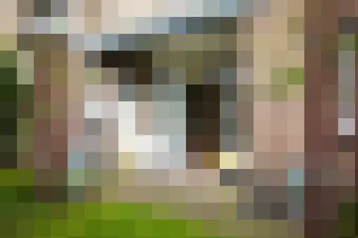 Ceintuurbaan 47 Deventer thumbnail 25