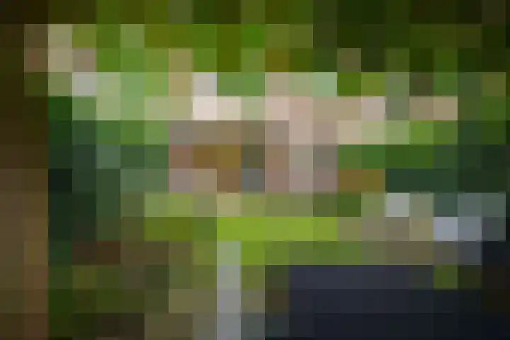 Ceintuurbaan 47 Deventer thumbnail 26